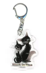 2026年最新】黒ねこ意匠 リヴァイの人気アイテム - メルカリ