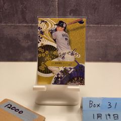 直筆サイン✨#8 柳田将洋選手✨東京グレートベアーズ ☆グレベアシート