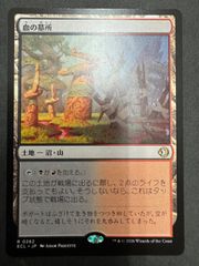 MTG エルドレインの玉座 英語 拡張アート WOC エルドレインの森 統率者