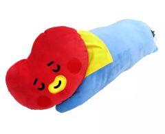 [중고] 쿠션 · 안아 베개 · 본체 TATA (부이) 잘자 고로 고로 안아 베개 [BT21 × TERRITOIRE]