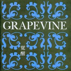 GRAPEVINE 愚かな者の語ること CD+DVD 初回限定盤 - メルカリ