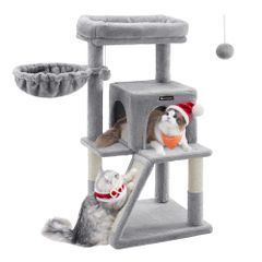 Item thumbnail for item 31333b91-f922-407c-8890-631b26b271cb