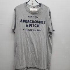 Abercrombie アバクロンビー Y2K ビックロゴ 半袖Tシャツ XL(L) ユニセックス