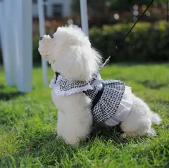 犬服　ペット用　ハーネスリードセット　フリルワンピースベスト