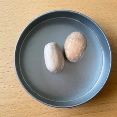 2026年最新】エンセファラルトスの人気アイテム - メルカリ