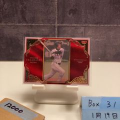 2024 BBM 辻野かなみ 13/50 始球式 First Pitch 2nd Version カード