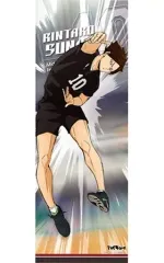 【中古】ポスター 角名倫太郎 「ハイキュー!! TO THE TOP キャラポスコレクション2」