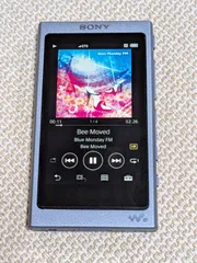 2026年最新】nw-a45の人気アイテム - メルカリ