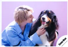 Snow Man KISSIN' MY LIPS/Stories 佐久間大介 公式写真 *1枚