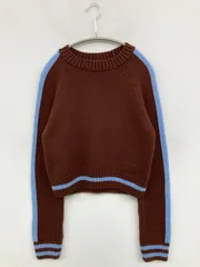 ZARA ザラ ニット/セーター M ブラウン 長袖 クルーネック(丸首) ショート丈 ライン柄 無地 ナイロン