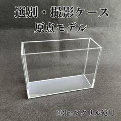 五藤めだか】選別・撮影ハイブリッドケースAB品(透明・グレー) メダカ