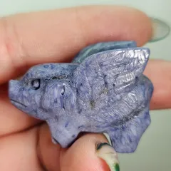 ブルーコーラル✨青珊瑚✨ハネブタ✨カービング✨