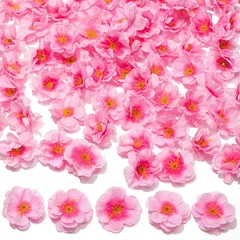 【新品】 himsyuden 桃の花 造花 100本 桜の花びら 花のみ 春の花 絹花 シルク花 花輪 ヘアアクセサリー DIY 花飾り 春の雰囲気づくり 撮影小道具 結婚式 プロポーズ 部屋飾り 店舗装飾用 0