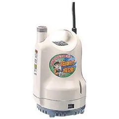 2026年最新】工進 水中ポンプの人気アイテム - メルカリ