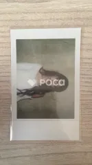 ルセラフィム サクラ LE SSERAFIM 2024 S/S POP UP INSTANT PHOTO CARD SET