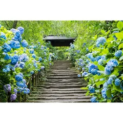 ND タペストリー アジサイ 紫陽花 花 インテリア 壁面 おしゃれ だまし絵 風景 景色 絶景 大判 大きい 癒し 部屋 飾り付け 季節 プレゼント 背景布 壁 インスタ映え 小物 布 テレワーク 背景 zoom 映え 雑貨 グッズ 富士山 グリーン 玄 0