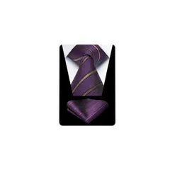 [HISDERN] ネクタイ ビジネス メンズ パープル ストライプ ネクタイ チーフ セット プレゼント ブランド品 ビジネス 就活 入学式 卒業式HC-01 1