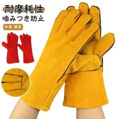 Item thumbnail for item 74f97d74-78f8-4eea-b56c-627c58a2016d