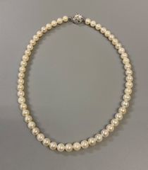 希少 天然真珠ネックレス 8mmシルバー 刻印43cm 白 ホワイト - メルカリ