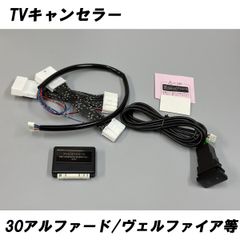90系ヴォクシー日本電機サービス TXR-P60D テレビキャンセラー JES