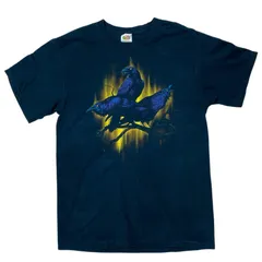 ザ・ソード THE SWORD バンドTシャツ バンT ヴィンテージ フルーツオブザルーム カラス 鳥 グラフィック プリント ミステリアス ダーク 不気味 ゴシック調 M 自然 ブラック 黒 Tシャツ レディース ユニセックス メンズ 古着 半袖 CHM