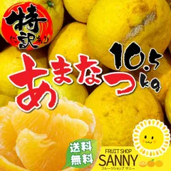 みかん 愛媛県産 甘夏 箱込10kg+保証分500g 特に訳あり（外皮の小傷・シミ多め・不揃い・その分特価）疲れた体に染み渡るビタミンＣクエン酸ビタミンＢ１もたっぷり今が旬！のサムネイル