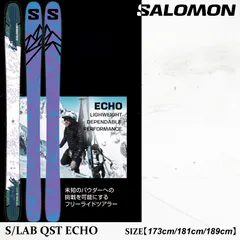 2026年最新】SALOMON QST 100の人気アイテム - メルカリ