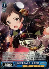2026年最新】北沢志保 spの人気アイテム - メルカリ