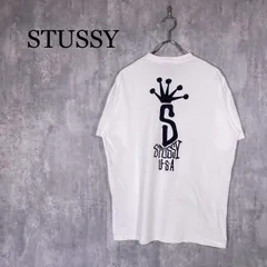 『STUSSY』ステューシー (M) Big S LCB Tシャツ