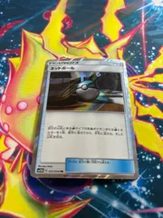 A394　ネットボール　TR　1枚のサムネイル