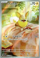 ワンパチ：ポケモンカードゲーム チャンピオンシップシリーズ2022