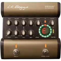 2026年最新】L.R.Baggs Venue DIの人気アイテム - メルカリ