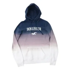 ホリスター ヴィンテージ グラデーション ロゴ 刺繍 フード Tシャツ (L)