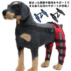 Item thumbnail for item 48b075ce-b2d2-4b9a-b1b0-0b8e98618de5