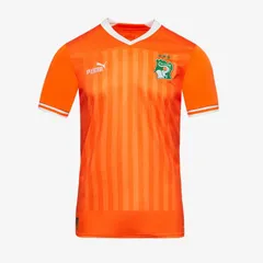 【送料無料・匿名配送】PUMA プーマ コートジボワール代表 2024 公式 ホーム シャツ 3つ星 新品 正規品 日本未発売 AFCON王者 オレンジ