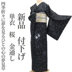 ○604mk5○夏物 高級小紋 星にフクロウ 絽 黒 ややふくよか○一部 