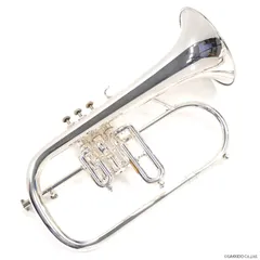 2026年最新】フリューゲルホルンの人気アイテム - メルカリ