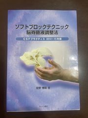 CSF脳脊髄液調整用 ソフトブロック 2個 - メルカリ
