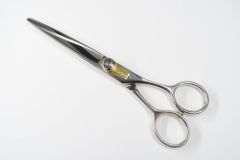 Item thumbnail for item 373d4d4d-32a2-4259-934c-4b0b6e2568d4