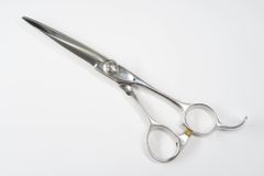 Cランク【トギノン TOGINON】 Hi-skill Queen FX 5.8 セニング 美容師