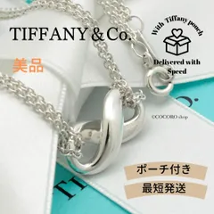 【美品】ティファニー TIFFANY&Co. インフィニティ ダブル チェーン ネックレス AG925