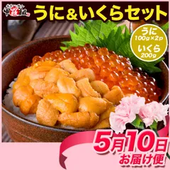 【母の日（5/10）お届け専用】【母の日カード付き】うに＆いくら贅沢セット  (無添加生うに100g×2/鱒いくら醤油漬け200g)  ギフト 贈り物 ウニ イクラ 海鮮丼 贈答 【甲羅組】