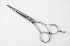 Item thumbnail for item 8f16ea5a-478f-489c-ac79-9cbec4a60840