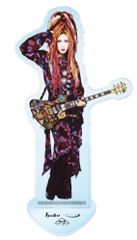 hide 
