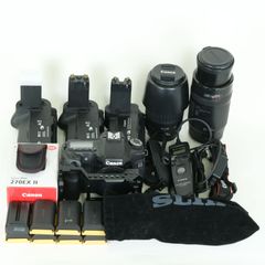 欲しいが全部揃った】SONYα65＋レンズ5本他20点最強フルセット撮影写真