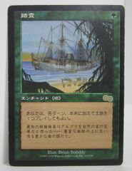 MTG 防御の光網 日本語版 サインド 3枚組 ULG版 - メルカリ