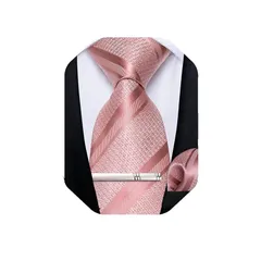 【新品】 [DiBanGu] ネクタイ ピンク 結婚式 ストライプ ポケットチーフ タイピン 洗濯可能 ビジネス 入学式 1