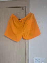 パタゴニア ハーフパンツ L