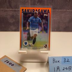 Item thumbnail for item a8621071-74ca-4153-bc07-3f7bf0894d3e