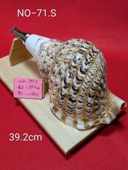 NO−68.S 法螺貝#金具入り#ほら貝#ホラ貝#修験道#和楽器 - メルカリ
